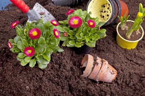 Illustration representing essential cookies for Gardeners Bowes Park website operation