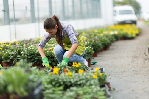 Local gardener improving a Bowes Park front garden