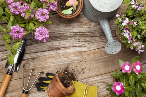 Gardener working in a Bowes Park garden with careful outdoor maintenance