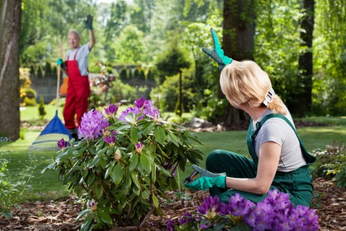 Professional gardening complaints process for Bowes Park service