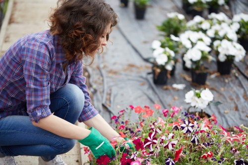 Gardening tools and freshly maintained plants at the start of service terms