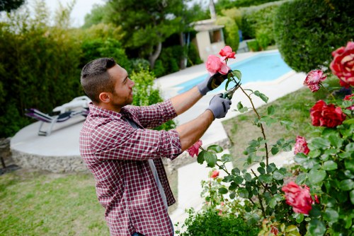 Professional gardening services maintaining a Bowes Park garden