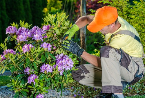 Clean and attractive outdoor space maintained by gardeners in Bowes Park
