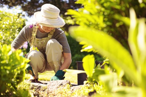 Healthy front lawn care in Bowes Park with neatly cut grass