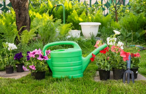 Garden clearance quote for a terrace garden in Bowes Park