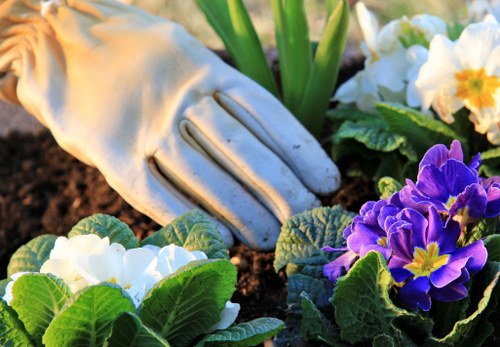 Safe handling of garden chemicals and tools