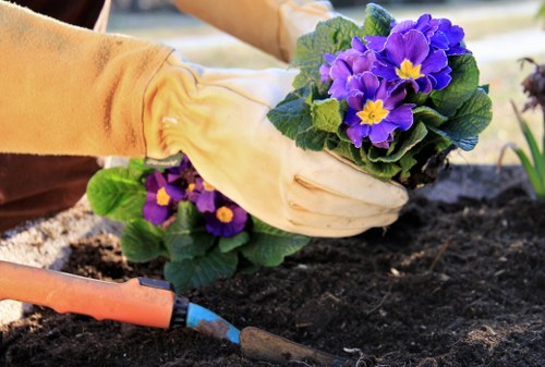 Seasonal lawn treatment in Bowes Park for greener garden grass
