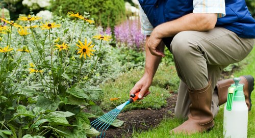 Seasonal planting and flower care in a Bowes Park garden