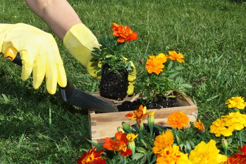 Bowes Park gardening staff checking a site before work begins