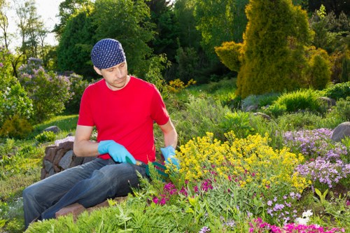 Brambles and dense overgrowth cut back during garden clearance in Bowes Park