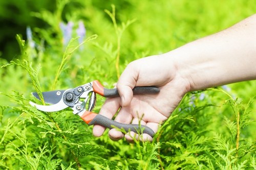 Outdoor garden work included under booking and service conditions