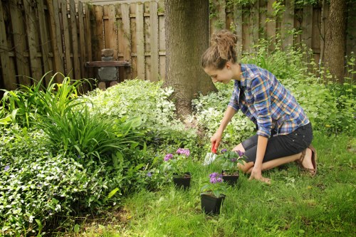 Seasonal garden maintenance work in a Bowes Park outdoor space