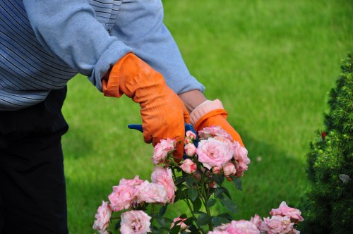 Risk assessment and PPE used during professional garden maintenance