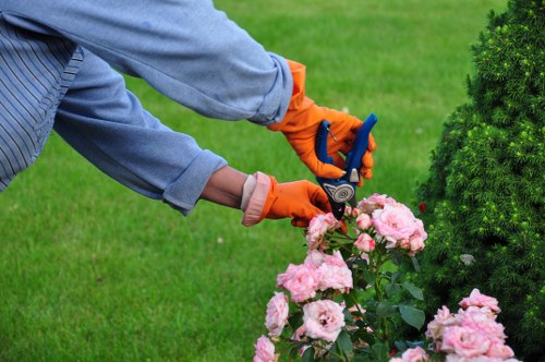 Charitable reuse of garden materials and equipment