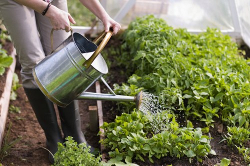 Seasonal hedge maintenance in a Bowes Park backyard garden
