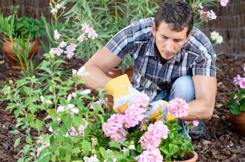 Professional patio cleaning process on a garden patio in Bowes Park