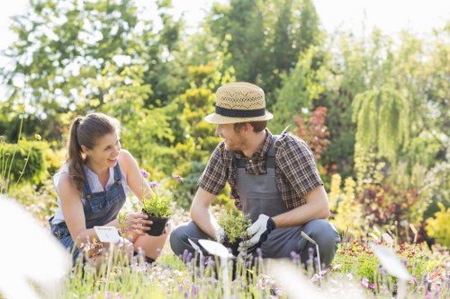 Hard landscaping features in a Bowes Park outdoor space