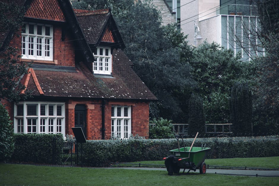 A person wearing a red long-sleeved shirt is trimming a dense, green hedge with a pair of bright green and blue pruning shears. Their hands are carefully cutting through the small, glossy leaves of th
