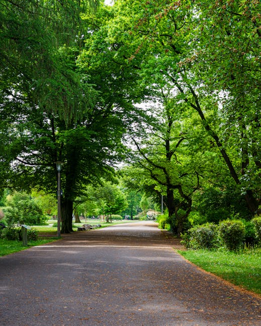 A peaceful pathway in a lush, green park during daytime, surrounded by tall trees with vibrant foliage forming a canopy overhead. The path is paved with asphalt, showing slight fallen leaves scattered
