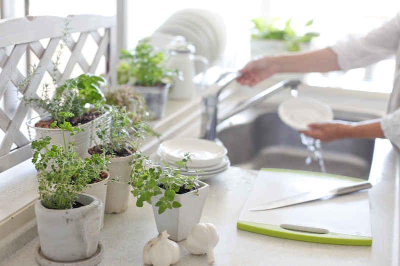 garden maintenance garden design