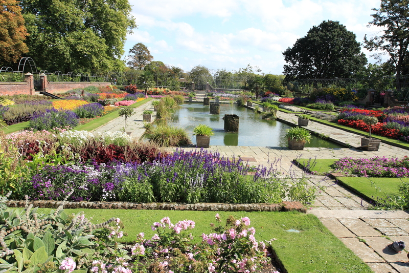 Garden yard
